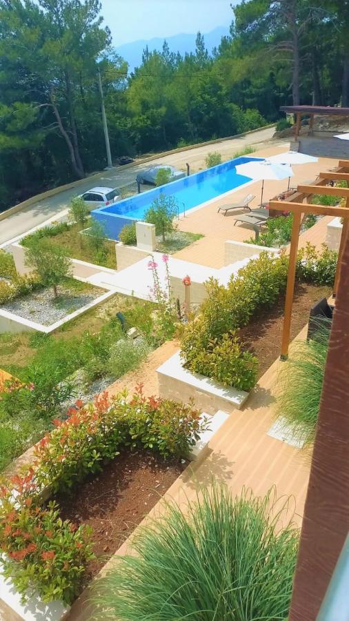 Kavač Cozy Apartments With Pool And Splendid Seaview المظهر الخارجي الصورة